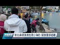 小海豹疑似隨海流誤闖鼻頭漁港 動保處今誘捕失敗｜20211025 公視晚間新聞