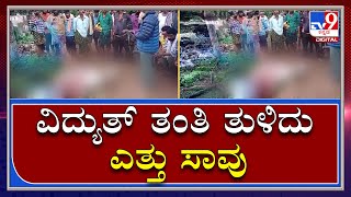 ದಾವಣಗೆರೆ ಜಿಲ್ಲೆ Channagiriಯಲ್ಲಿ Electric ತಂತಿ ತುಳಿದು Ox ಸಾವು, Farmers ಆಕ್ರೋಶ|Tv9 Kannada