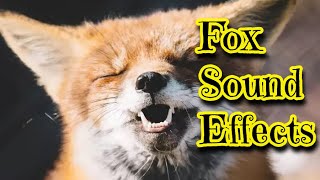 Fox Sound Effects
