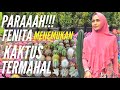 Ini KAKTUS TERMAHAL! : Fenita arie