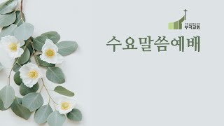 2023.01.25 부곡교회 수요말씀예배