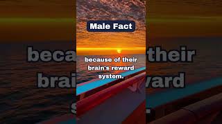 Amazing Facts 1104