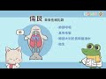 108新課綱｜七下生物｜【觀念】動物界－脊椎動物 2 鳥類、哺乳類