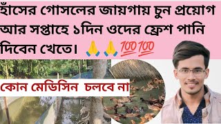 হাঁসের গোসলের জায়গায় চুন প্রয়োগ আর সপ্তাহে ১ দিন ফ্রেস পানি দিবেন 👌👌🦢🦆🥰🥰