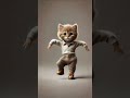 smart cat dance cat animaldance petdance cute catdance