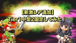 【城ドラ】新激レア全部揃えた最強中型2固定でソロ行ってみた！【あぱぁ。】