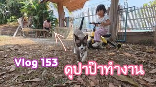 ดูปาป๊าทำงาน Vlog 153