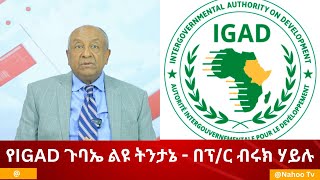 የIGAD ጉባኤ ልዩ ትንታኔ - በፕ/ር ብሩክ ሃይሉ @Nahoo television