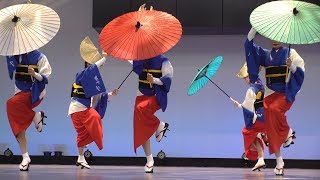 本場徳島・秋の阿波おどり2019　「藍吹雪」～本編後半～ / Awa Odori Autumn Festival 2019 “Aifubuki”　　　　[4K]