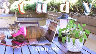 🍉 1 HOUR REAL-TIME STUDY WITH ME 🪴 Study Lofi Beats  🍅 DEEP FOCUS Pomodoro Timer | Feat. CAT