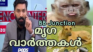 മൃഗവാർത്തകൾ #bbjunction ❤️ #malayalam #fundubmalayalam #funnyvideo #malayalamnews