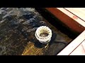 AMAZING DIY POND SKIMMER IN ACTION