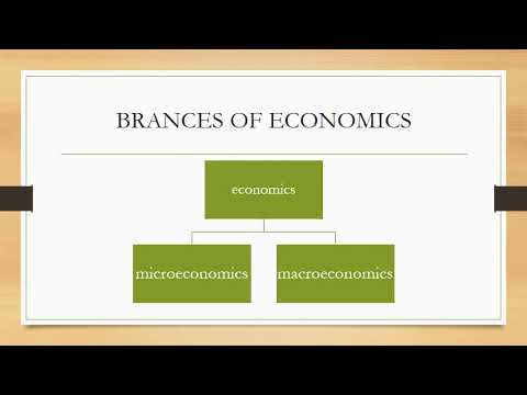 Branches Of Economics - YouTube