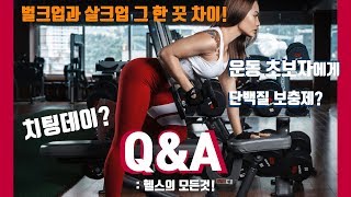 벌크업과 살크업의 차이, 치팅데이, 운동꿀팁Q\u0026A [19.6.12 Q\u0026A]