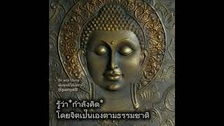 รู้ว่ากำลังคิด *โดยจิตเป็นเองตามธรรมชาติ#ธีรพระไร้นาม #พ้นทุกข์ได้เพราะรู้ #บรรลุธรรม