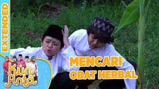 Mencari Obat Herbal di Kebun - Kun Anta Extended