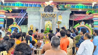 Gomaspuram  | ஸ்ரீ சந்தனமாரி அம்மன் | kovil kodai | 2024 | Thoothukudi🔥💥