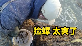 【阿鐵趕海】去小島撿螺太愜意，到了開啟狂撿模式，滿載而歸！