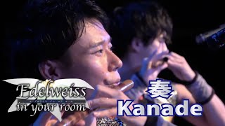 【Wadaiko SAI Performance Digest Video】Kanade : vol.1  ( From Concert \