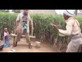 Rradijo