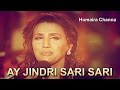 Ae Jindri Sari Sari |  Humaira Channa | Virsa Live Show | Punjabi Love Song