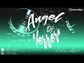 MEGA PACK MULTIGENERO - DJ ANGEL HERRERA