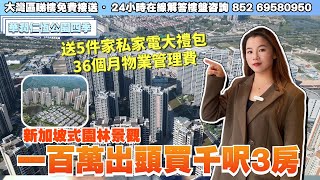 中山樓盤丨華潤仁恆公園丨高品質交付 丨一百萬出頭買千呎3房丨新加坡式園林景觀丨送5件家私家電大禮包＋36個月物業管理費＋產權車位【CC中文字幕】