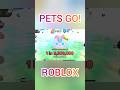 Unicorn Kitten - 1 in 2.5 Million Pet 🦄🐱 - Roblox PETS GO! Game, Halloween Luck Update