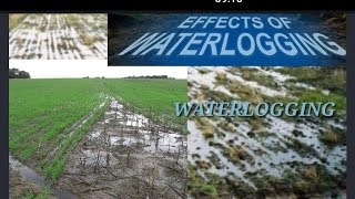 WHAT IS WATERLOGGING ? CAUSES , EFFORT AND PREVENTION OF WATERLOGGING