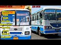 rsrtc bus vs hr bus ।। कौन है दोनों में से बेहतरीन हरियाणा रोडवेज या राजस्थान रोडवेज