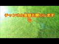 地下室しか知らないパピーミルの犠牲犬！初めてリラックスした表情が愛おしい