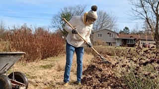 the benefits of all those leaves November 13, 2024