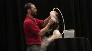 Dry Ice Clouds - Live Demo Hour