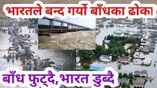 कोशी बाँध फुट्दै,भारत डुब्दै! भर्खरै बन्द गर्यो यति 19 ढोका - Today breaking news