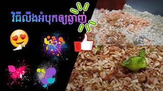 របៀបធ្វើអំបុកលីង| Khmer Recipe| My Creative taste