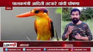 Raigad District Birds|'तिबोटी खंड्या'ला रायगड जिल्हा पक्षीचा मान;पालकमंत्री आदिती तटकरे यांची घोषणा