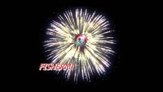 10 BALLS -DANCING WITH THE STARS FROM FISHERMAN FIREWORKS