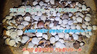 겨울해루질! 3-3 줍줍이로 소라 골뱅이 맛조개 홍맛 떡조개 가능하구요 맛조개밭을 만나면 그냥 뽑으세요~~^^#안면도해루질#태안해루질#꽃지#몽산포#삼봉#낚시#하나개#영흥도#변산#