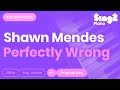 Shawn Mendes - Perfectly Wrong (Piano Karaoke)