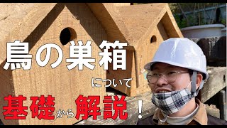 小鳥の巣箱　基礎から解説！ (野鳥観察　巣箱）