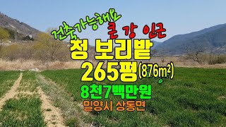 밀양토지(27) 밀양시상동면 강가에 보리밭 (선비부동산055-354-8757)양지바른남향 건축가능 길좋음 청도촌집 # 밀양땅#밀양부동산#밀양부동산매물