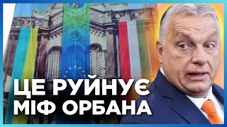 ОРБАН НЕ ХОТІВ, ЩОБ ВИ ЦЕ БАЧИЛИ! Як закарпатські угорці ЖИВУТЬ і ВОЮЮТЬ за Україну