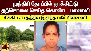 முந்திரி தோப்பில் தூக்கிட்டு தற்கொலை செய்த  மாணவி..  சிக்கிய கடிதத்தில் இருந்த பகீர் பின்னணி