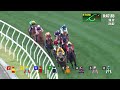 queen s silver jubilee cup 2025 race replay