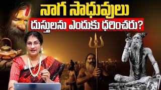 నాగ సాధువులు దుస్తులను ఎందుకు ధరించరు? Aghora Life Secrets | Intresting Facts | Bhakthi Samacharam