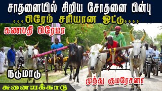 சுனையக்காடு நடுமாடு 07-08-2022  புதுக்கோட்டை (மா ) sunaiyakkadu nadumadu @vinayagastudio6797​