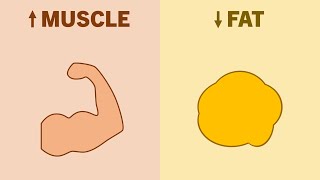 How to Retain Muscle During Weight Loss