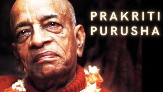 Prakriti Purusha@ShrilaPrabhupadaShortLectures  #prabhupada #prakriti #purusha