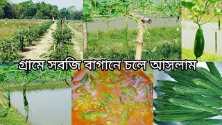 গ্রামের ব্লগ, সবজি বাগান থেকে আনা টাটকা সবজি রান্না করলাম, village blog