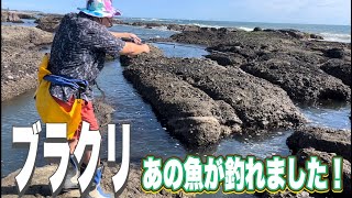 磯でブラクリ釣り！初心者でもなんとか釣れた方法！in大洗海岸